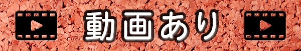 動画あり